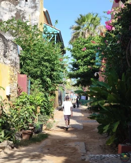 Excursions Sénégal Circuit 7 jours : Côtes et Culture - Image 2