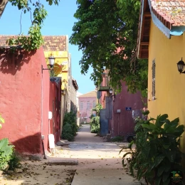 Excursions Sénégal Circuit 7 jours : Côtes et Culture - Image 3