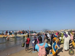 Excursions Sénégal Arrivée des pêcheurs et Île aux coquillages - Image 4