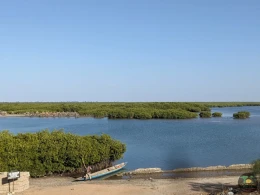 Excursions Sénégal Arrivée des pêcheurs et Île aux coquillages - Image 12