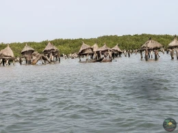Excursions Sénégal Arrivée des pêcheurs et Île aux coquillages - Image 6