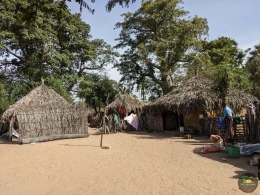 Excursions Sénégal Brousse, villages et Îles du Saloum - Image 11
