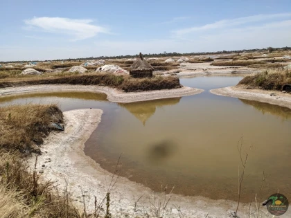 Brousse, villages et Îles du Saloum