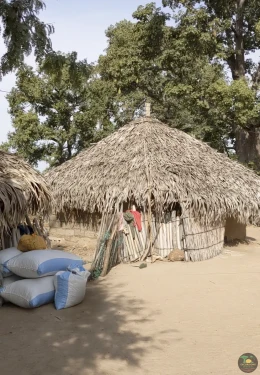 Excursions Sénégal Brousse, villages et Îles du Saloum - Image 13