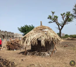 Excursions Sénégal Brousse, villages et Îles du Saloum - Image 2