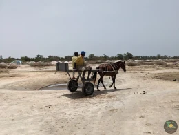 Excursions Sénégal Brousse, villages et Îles du Saloum - Image 4