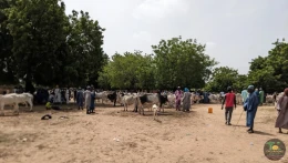 Excursions Sénégal Brousse, villages et Îles du Saloum - Image 5