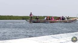 Excursions Sénégal Brousse, villages et Îles du Saloum - Image 9
