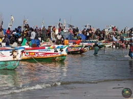 Excursions Sénégal Arrivée des pêcheurs à Mbour - Image 11