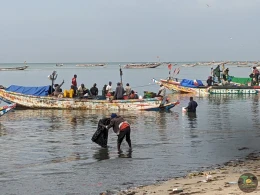 Excursions Sénégal Arrivée des pêcheurs à Mbour - Image 12