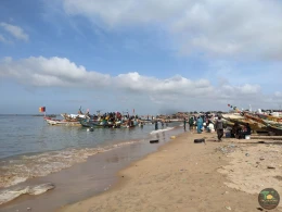 Excursions Sénégal Arrivée des pêcheurs à Mbour - Image 6