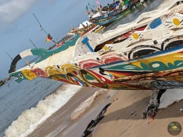 Excursions Sénégal Arrivée des pêcheurs à Mbour - Image 7