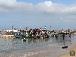 Excursions Sénégal Arrivée des pêcheurs à Mbour - Image 8