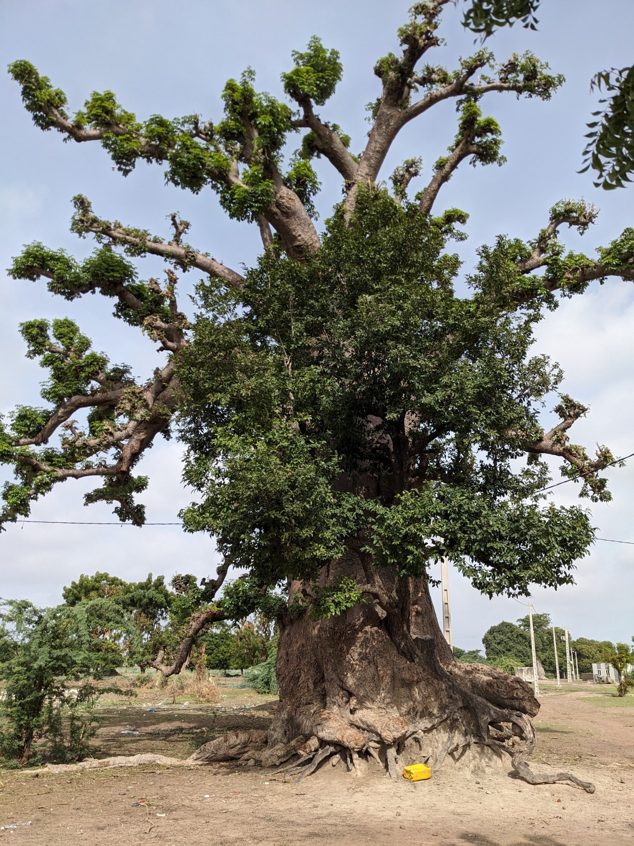 Image 1/2 journée en Brousse