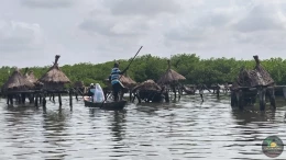 Excursions Sénégal L'Île aux Coquillages : Sur les traces de Senghor - Image 1