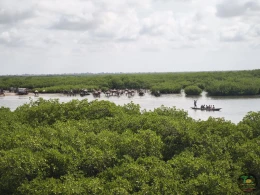 Excursions Sénégal L'Île aux Coquillages : Sur les traces de Senghor - Image 3