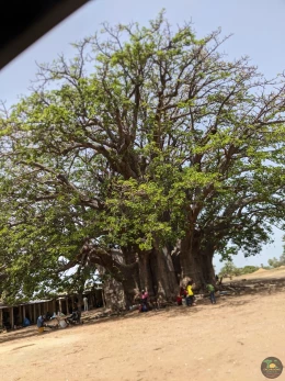 Excursions Sénégal 1/2 journée en Brousse - Image 2