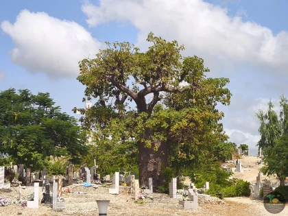 Brousse, villages et île aux coquillages