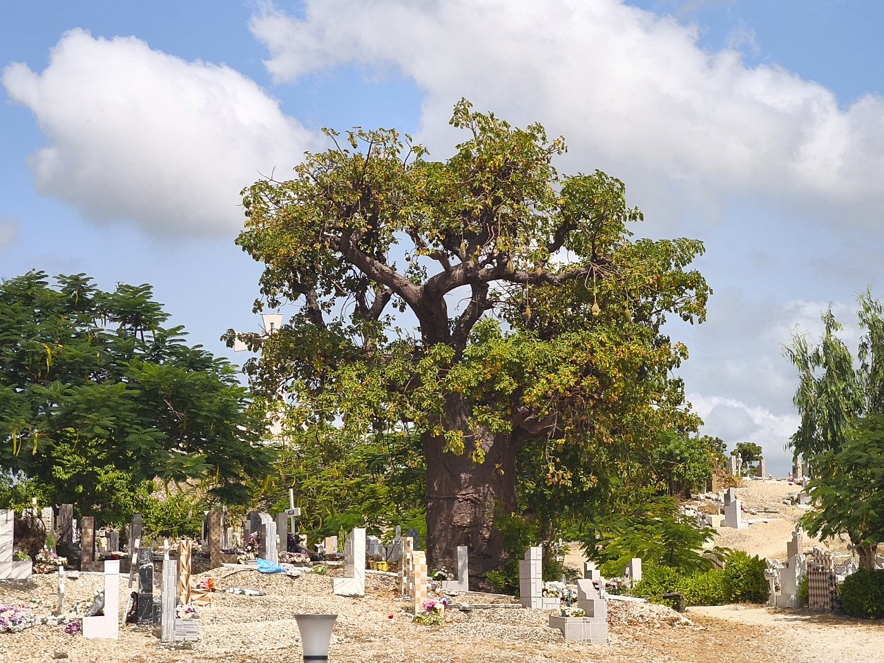 Image Brousse, villages et île aux coquillages
