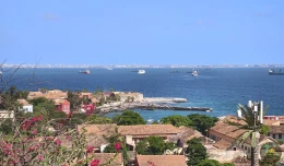 Excursions Sénégal Brousse, villages et île aux coquillages - Image 8